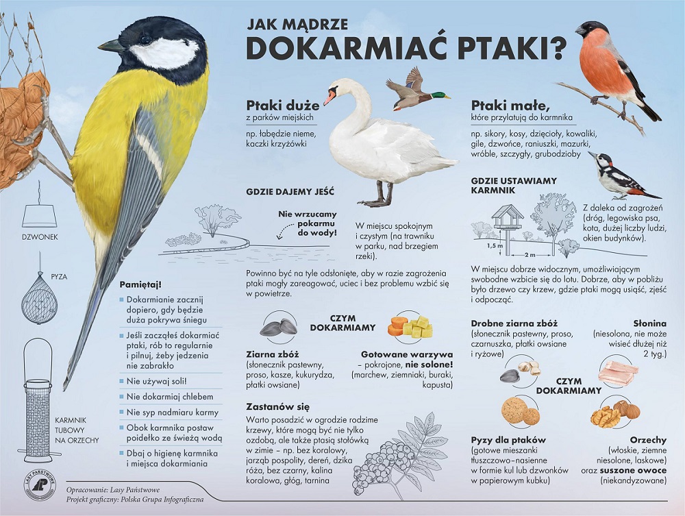 dokarmianie